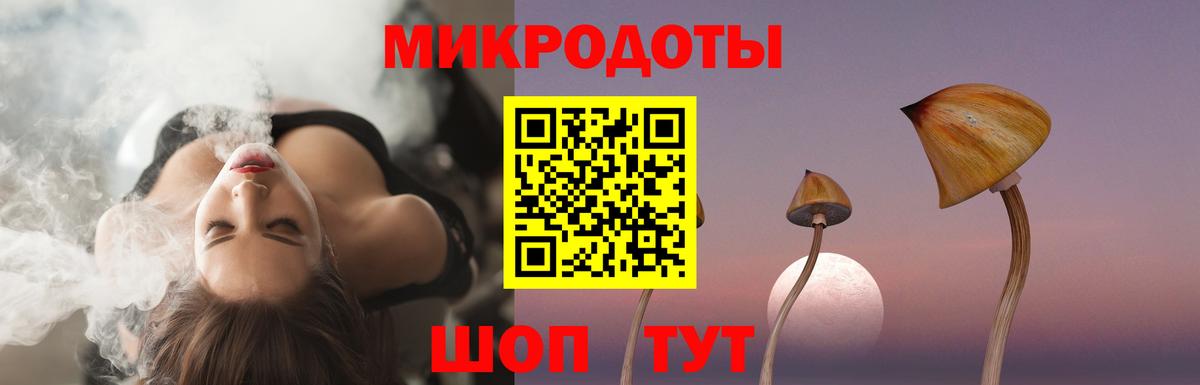 Псилоцибиновые грибы Cubensis Приморско-Ахтарск